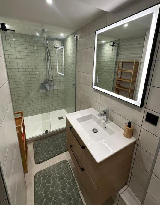 Le Briand Appartement 4Etoiles Nancy Thermal Cosy Avec Terrasse Wifi Exteriör bild