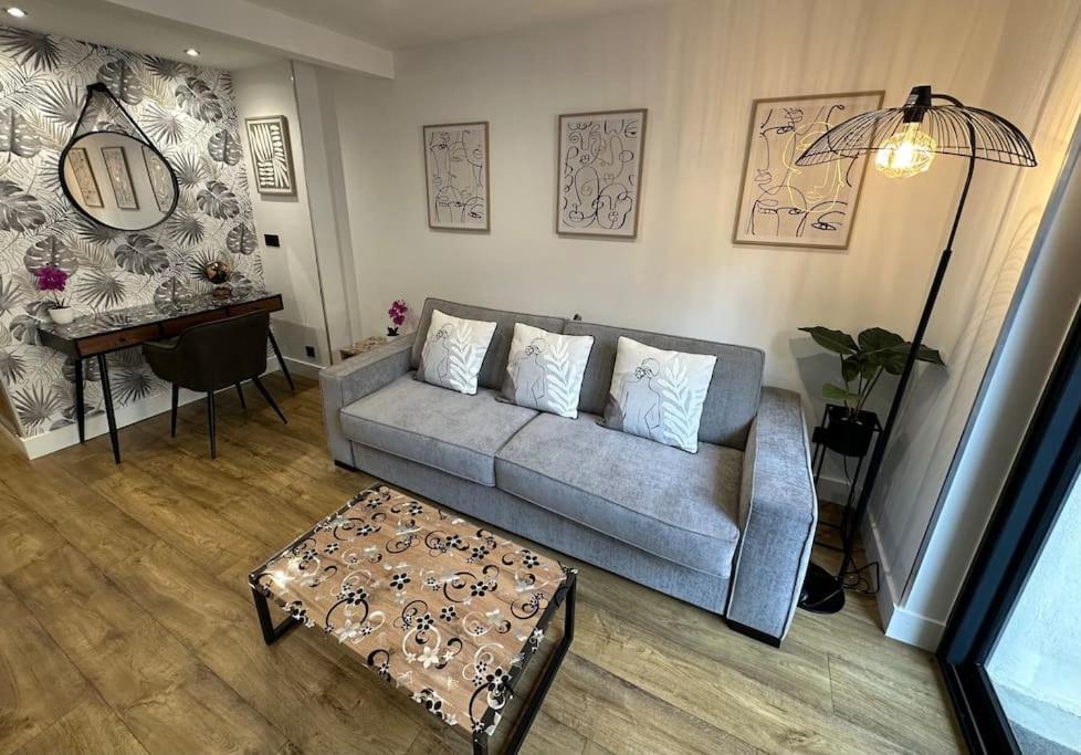 Le Briand Appartement 4Etoiles Nancy Thermal Cosy Avec Terrasse Wifi Exteriör bild