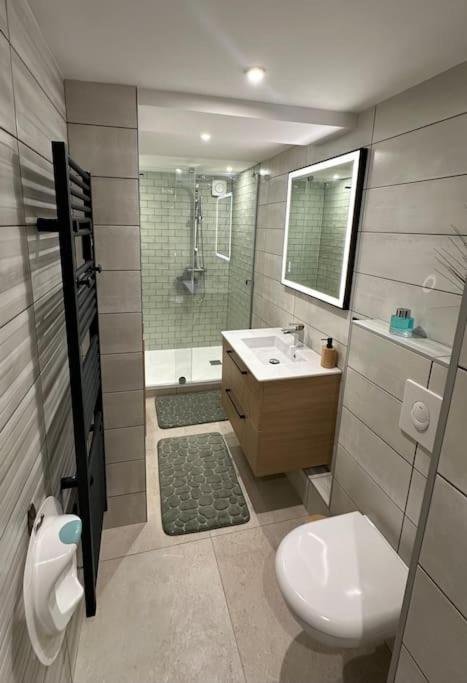 Le Briand Appartement 4Etoiles Nancy Thermal Cosy Avec Terrasse Wifi Exteriör bild